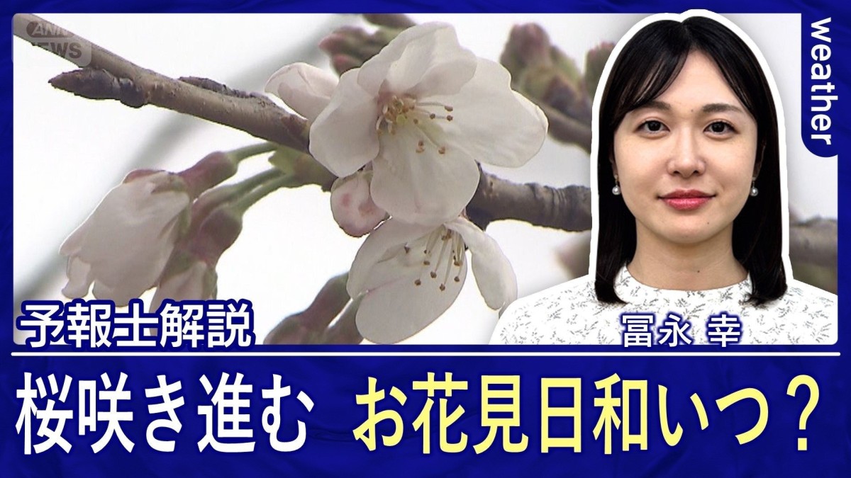お花見のベストタイミングは？桜満開の便りももうすぐ【今週の天気傾向】
