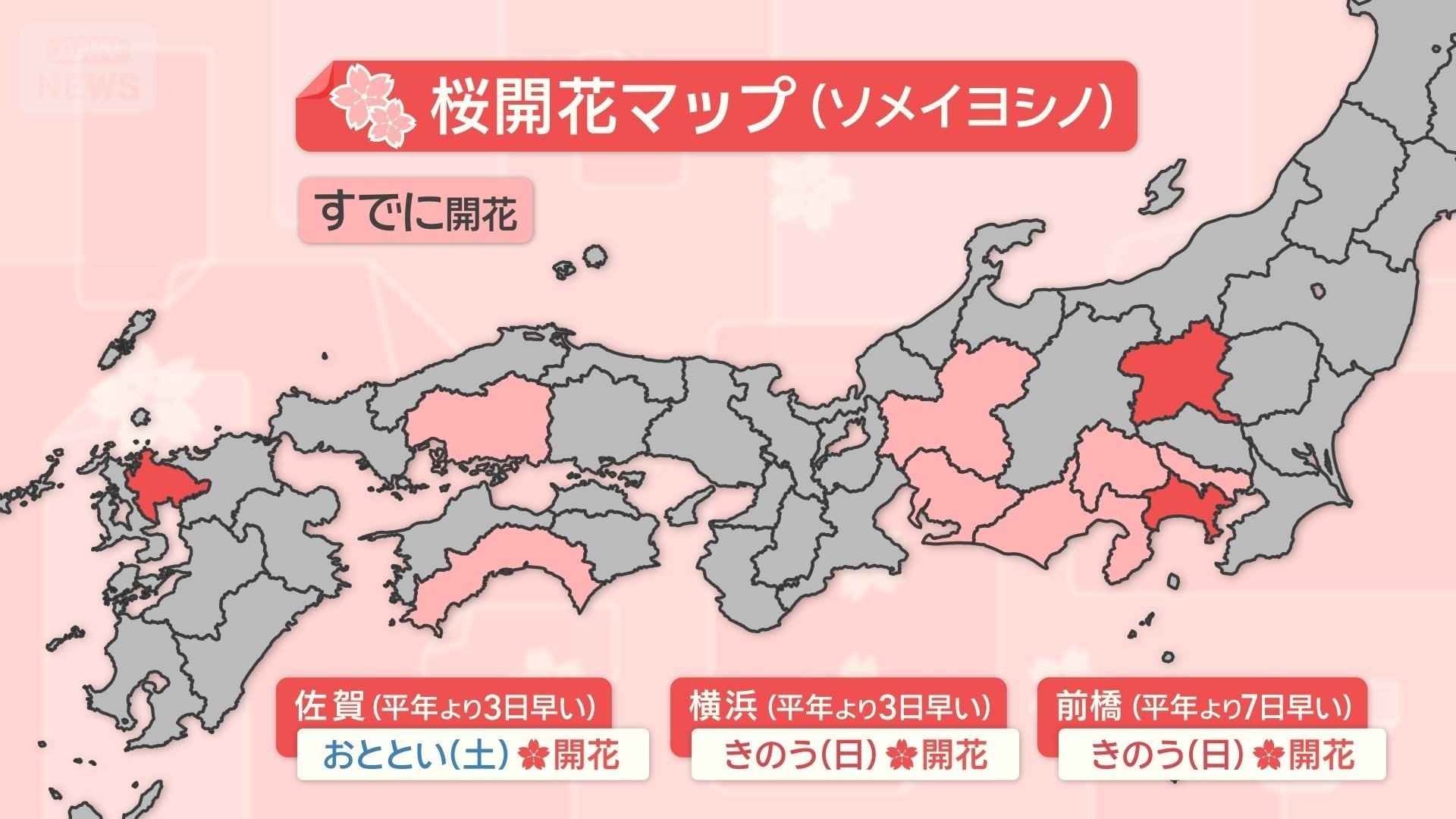 22(日)までの桜開花状況