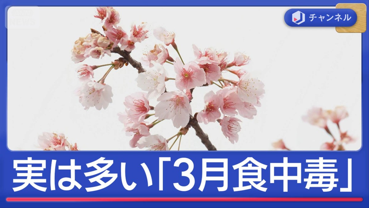 実は多い「3月食中毒」花見シーズン到来で気をつけたいポイント