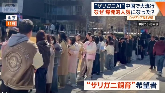 「ザリガニ飼育」希望者