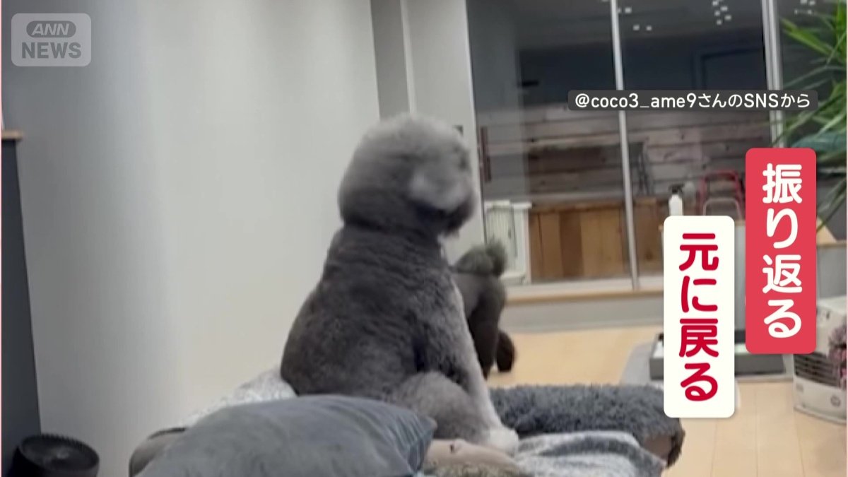 振り返り、すぐに戻る