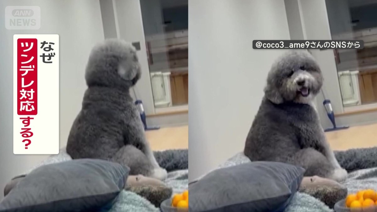 なぜツンデレ対応する？