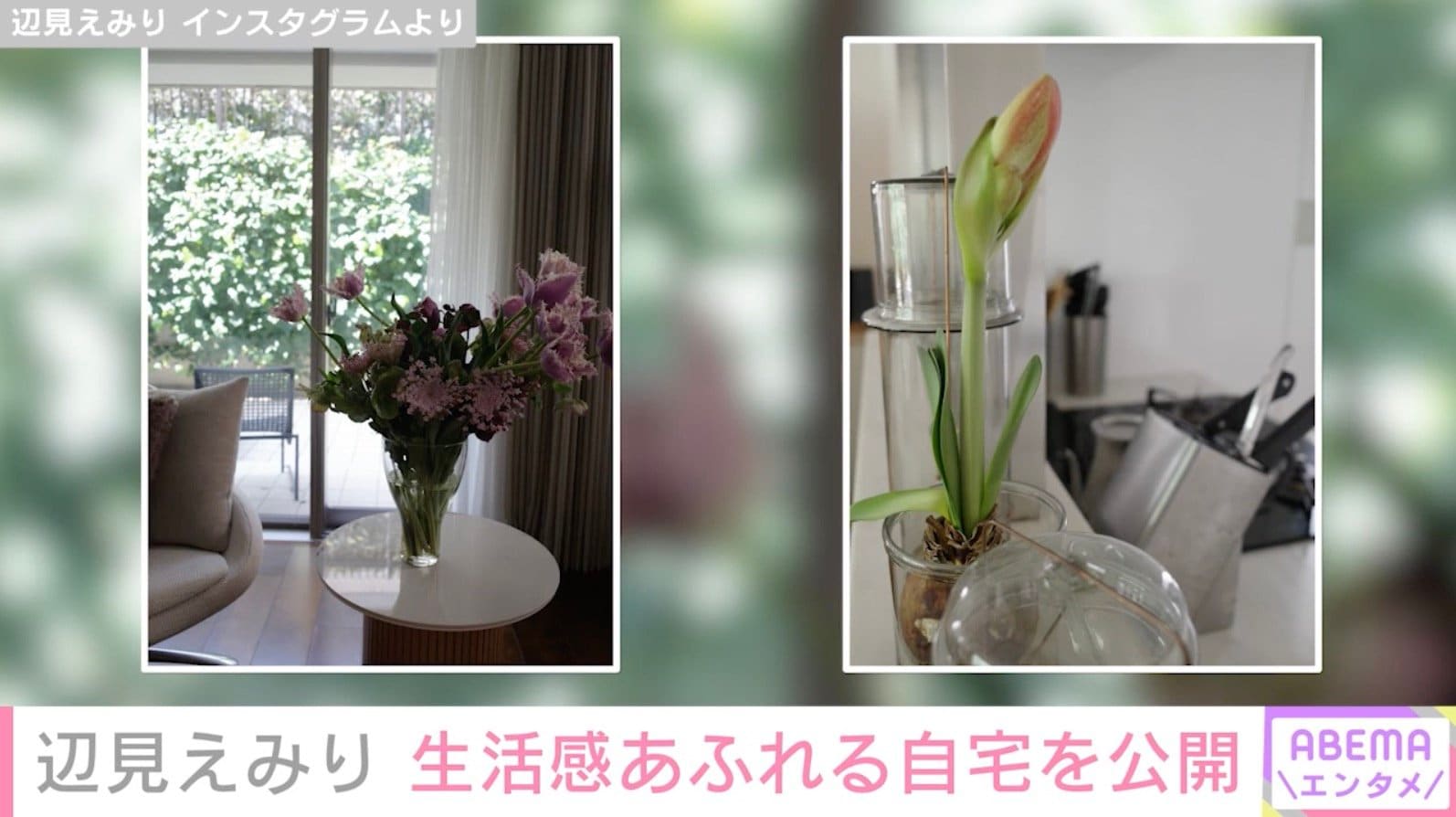 辺見えみり Instagramより