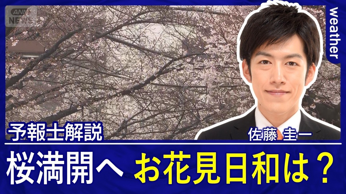 今年一番のまとまった雨　桜の開花ラッシュ　いよいよ東京も満開へ　週末はお花見日和