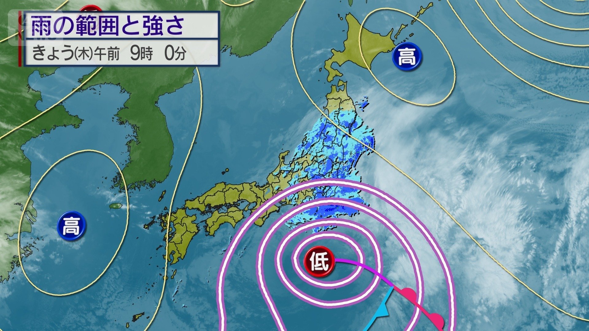 今年一番の雨量