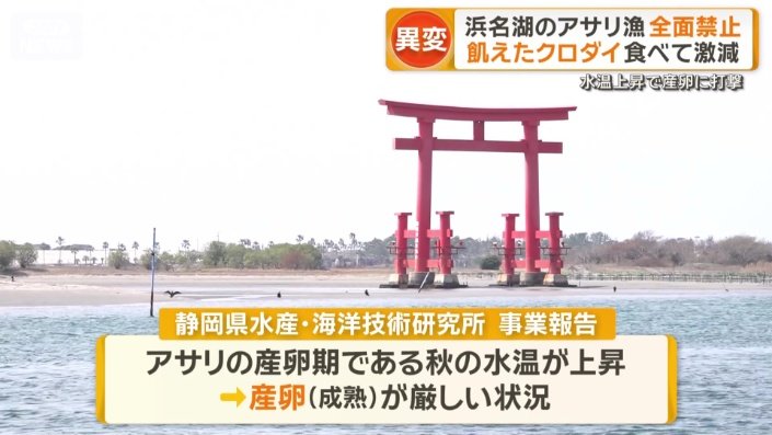 環境の変化が背景に