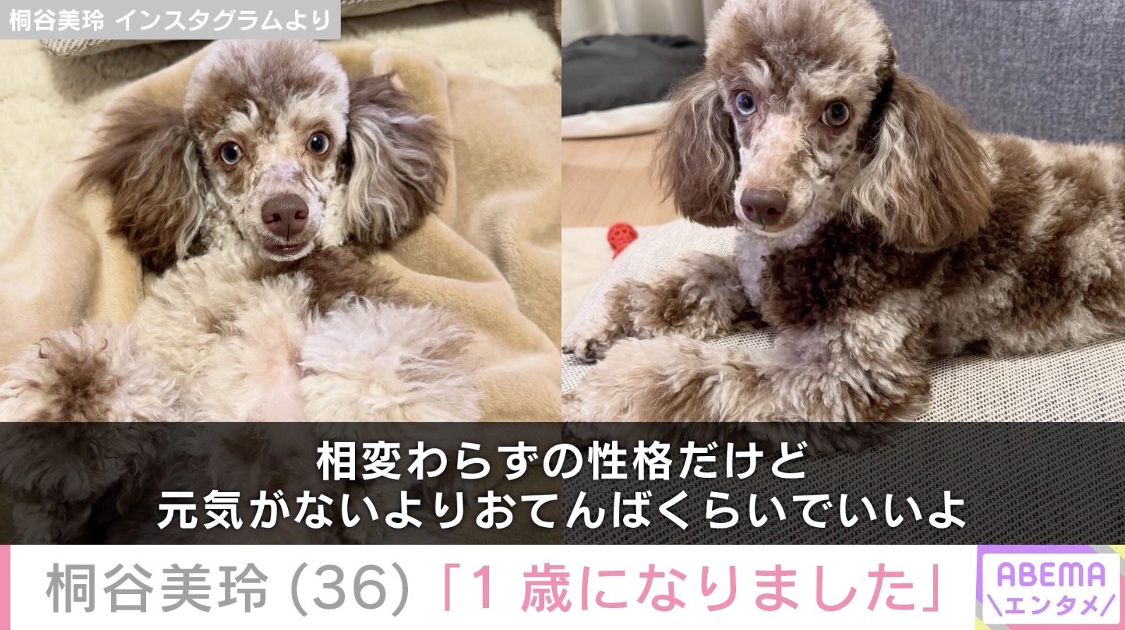 桐谷美玲 Instagramより