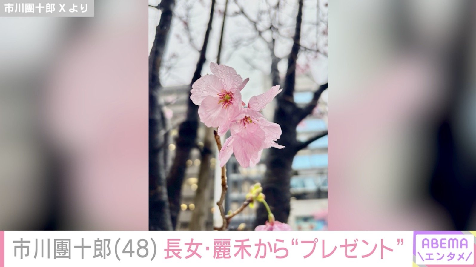 市川團十郎 Xより