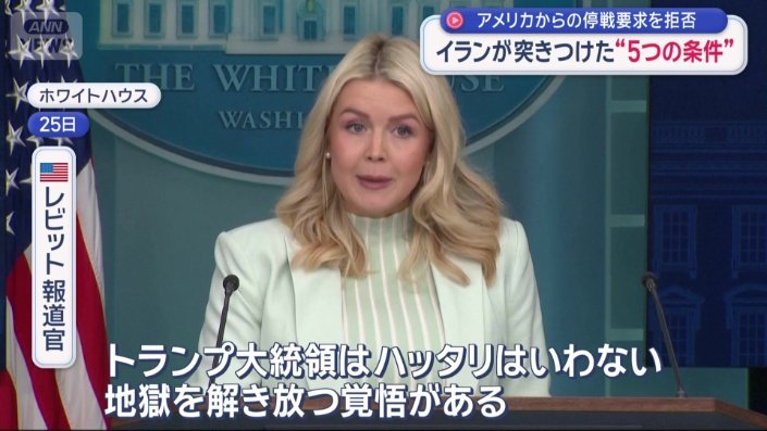 レビット報道官