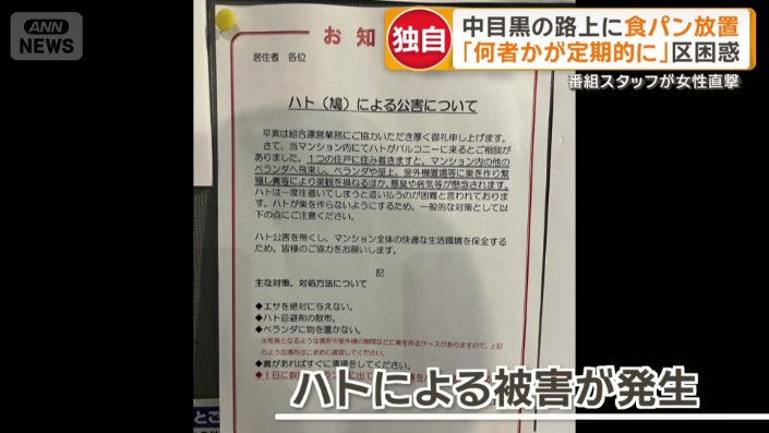 近隣のマンション