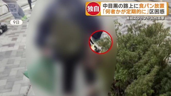 杖で植え込みに隠す