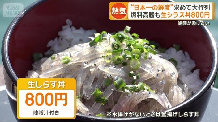 取れたての生シラス丼800円(味噌汁付き)
