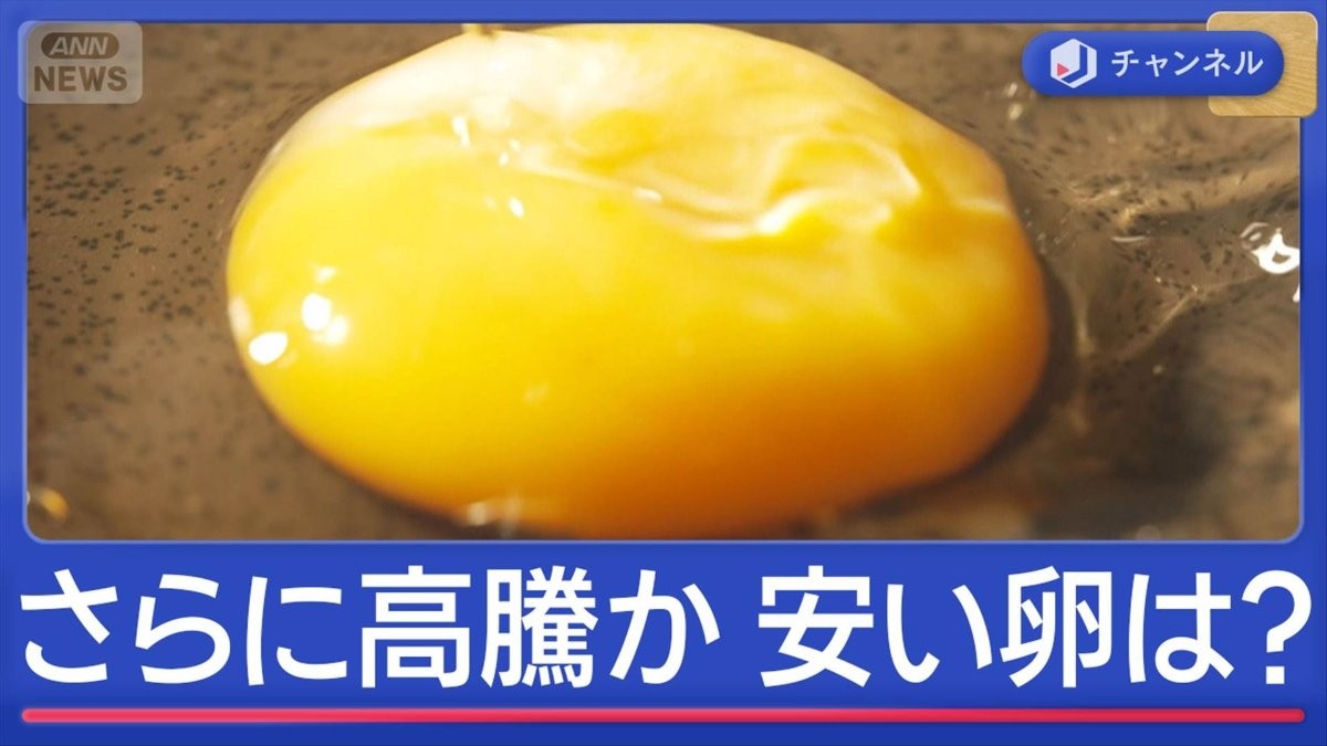 卵さらに高騰の恐れ　中東情勢と鳥インフルで業者悲鳴　安く買える穴場は？
