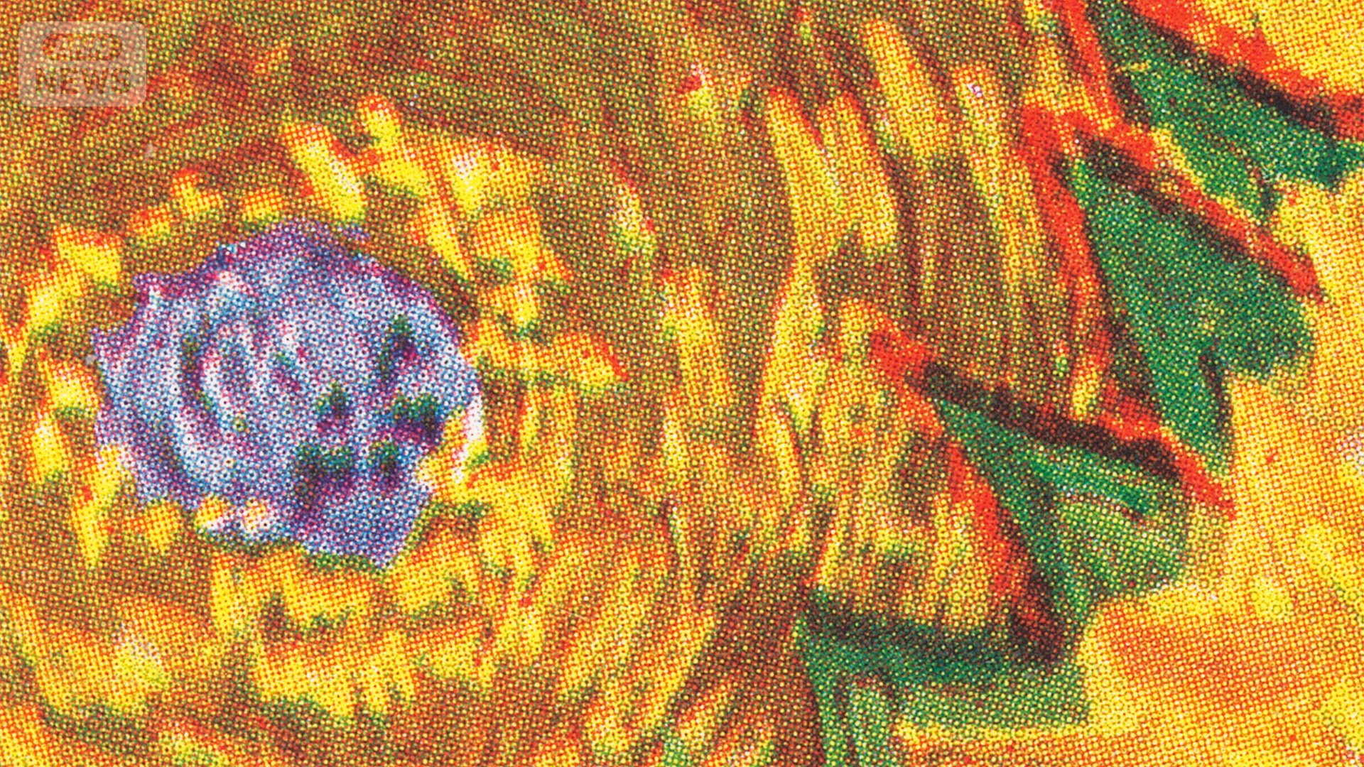 画集にあったカラー図版から再現した画像データは線が不明瞭だ(提供:東京藝術大学)