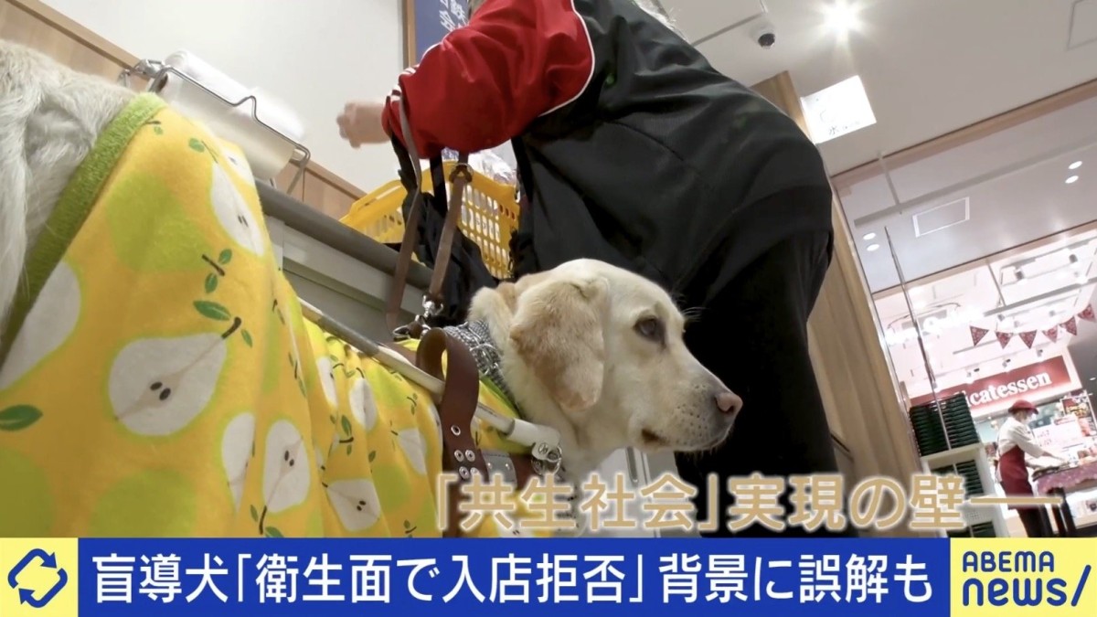 盲導犬ユーザーが経験する“入店拒否”…当事者「数え切れないくらいある」衛生＆法律面で誤解も