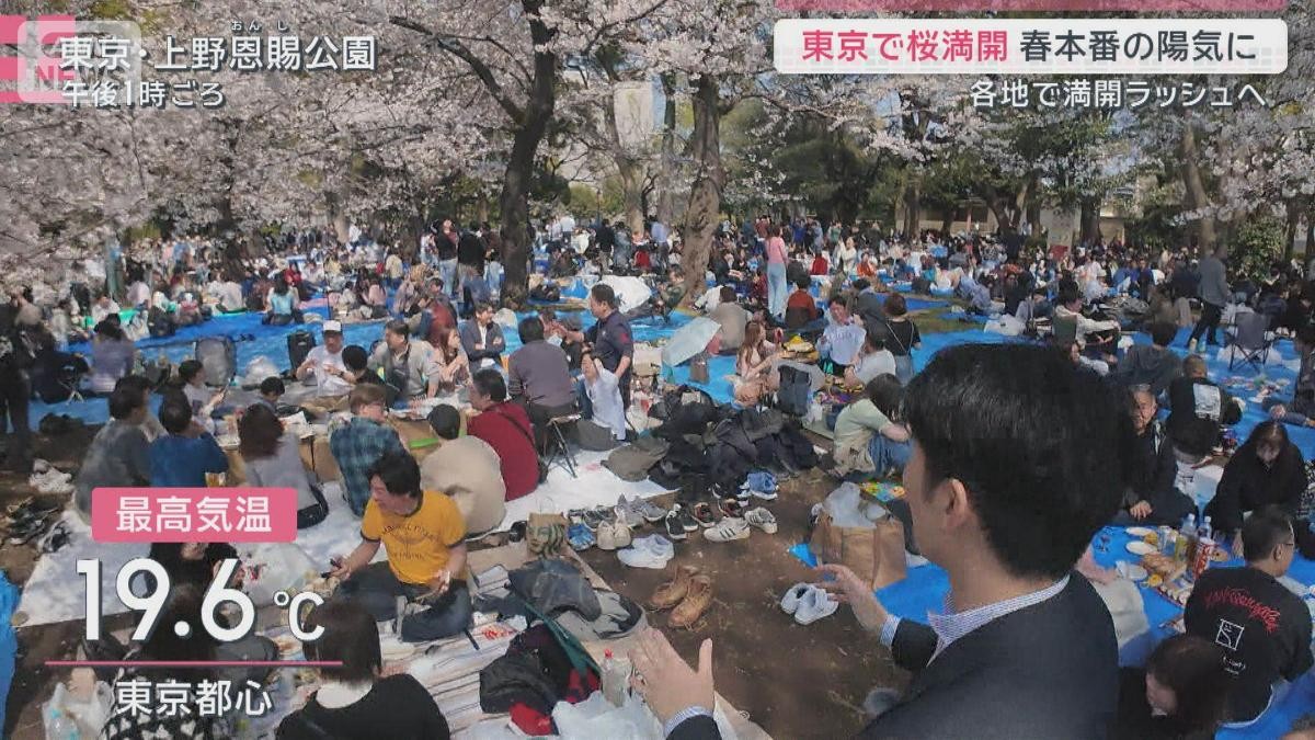 多様化する花見スタイル　利用4倍のレンタルスペースも　人気の理由は“四重苦”回避