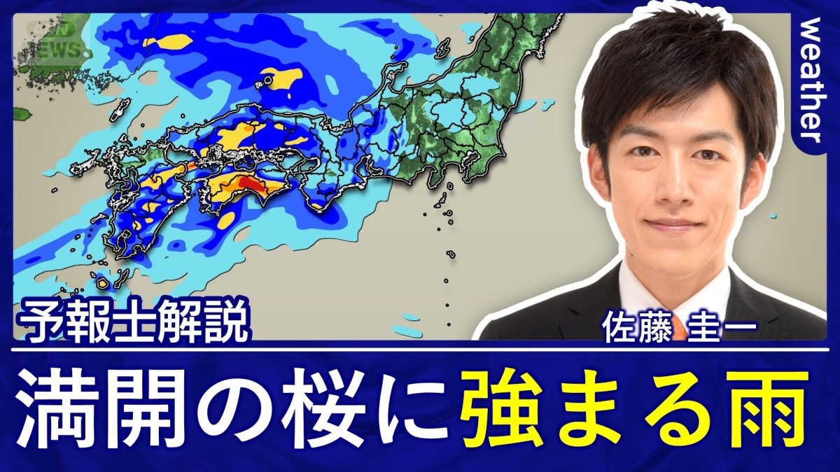 満開の桜に強まる雨　警報級の大雨や暴風のおそれ　お花見チャンスはわずか