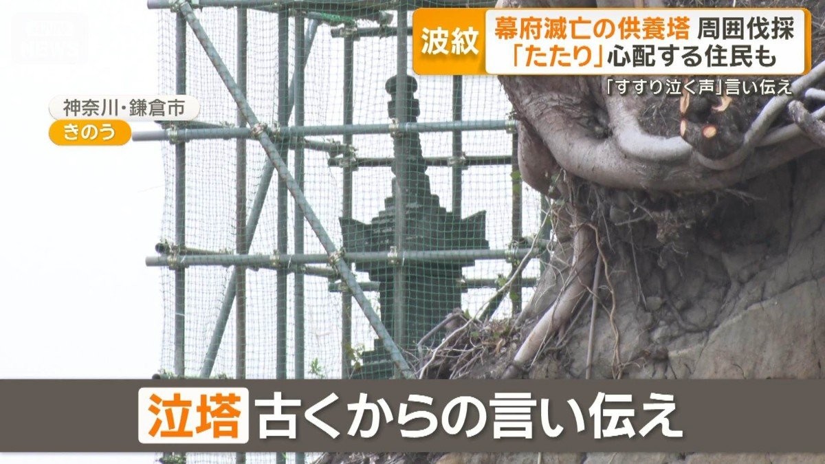 幕府滅亡の供養塔周囲の木を鎌倉市が伐採　住民「うっそうと茂ってたのに…」