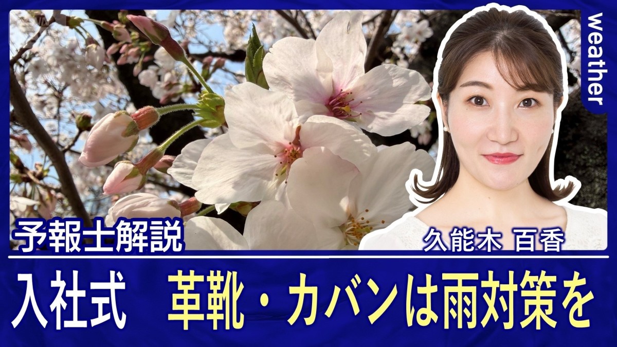 あす4月1日　入社式は雨対策を！サクラとともに傘の花開く