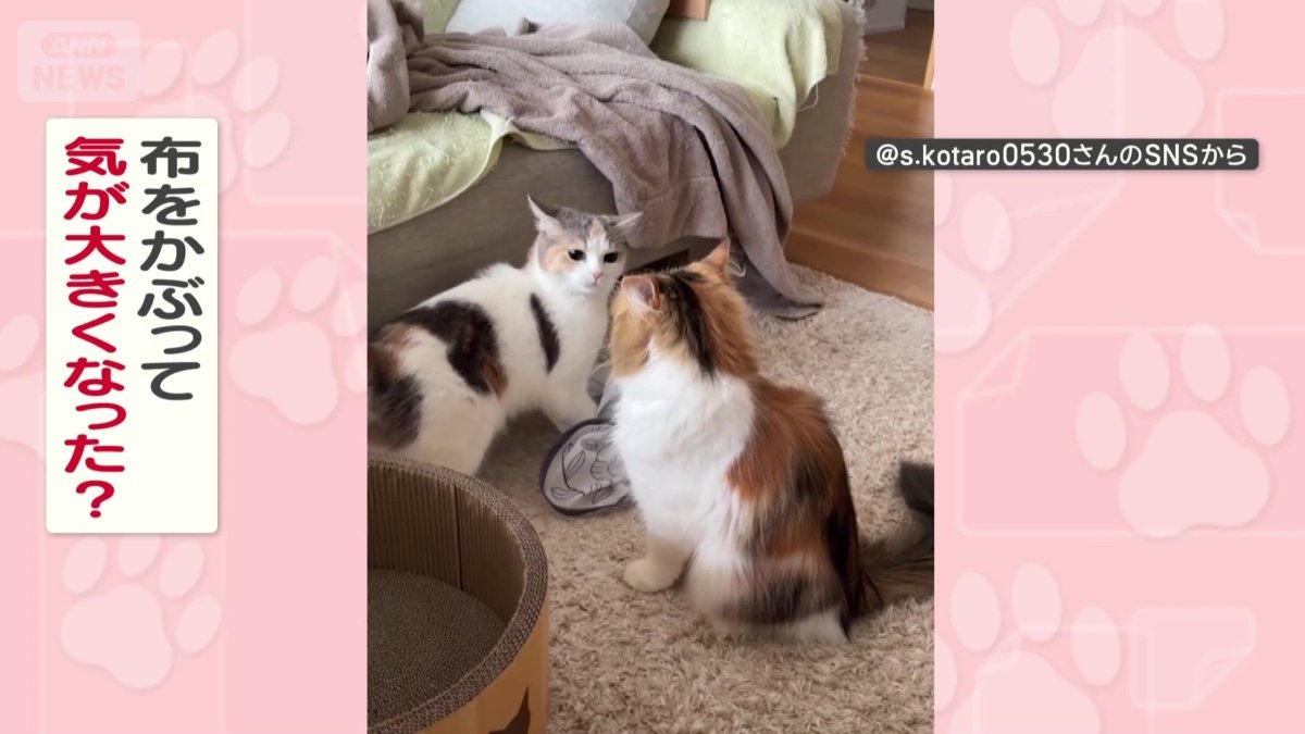 気持ちが大きくなってる？