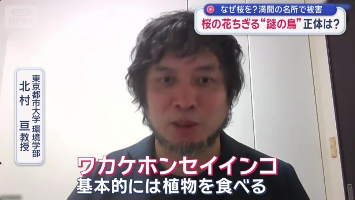 目的は、花の根元にある蜜