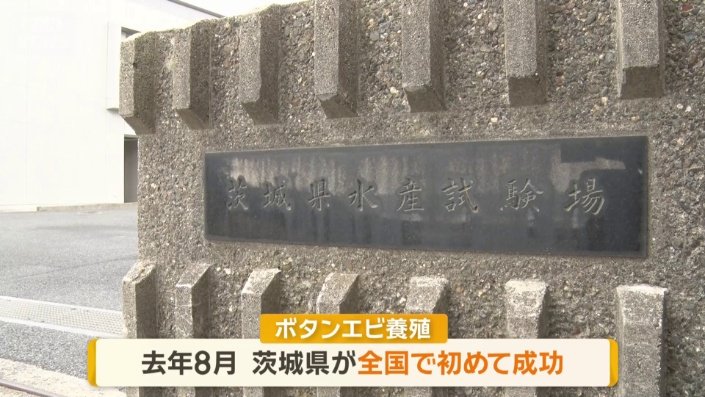 茨城県水産試験場