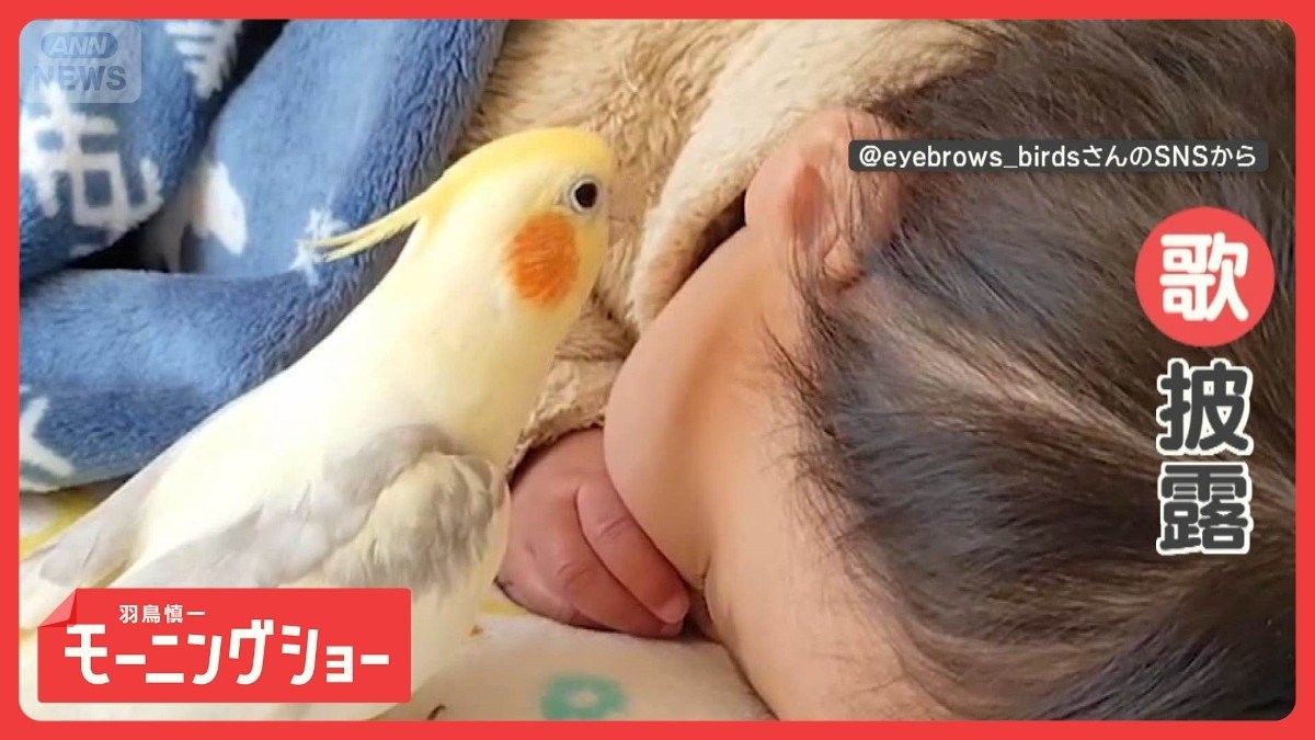 まるで子守歌　すやすや眠る赤ちゃんの耳元で歌を披露するインコ　寝かしつけてる？