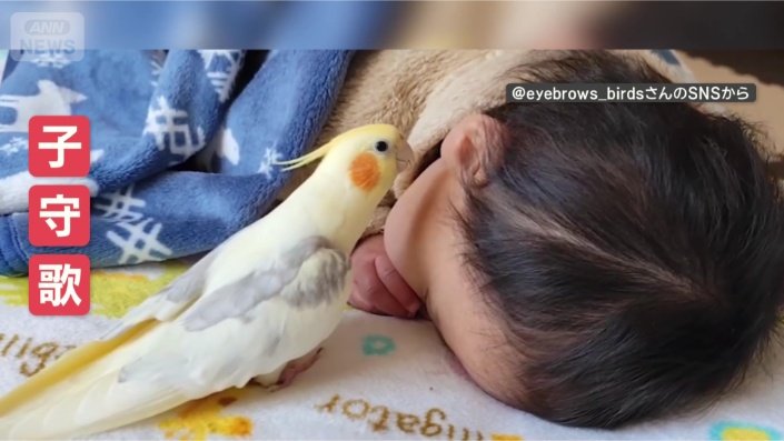 おやすみなさい…