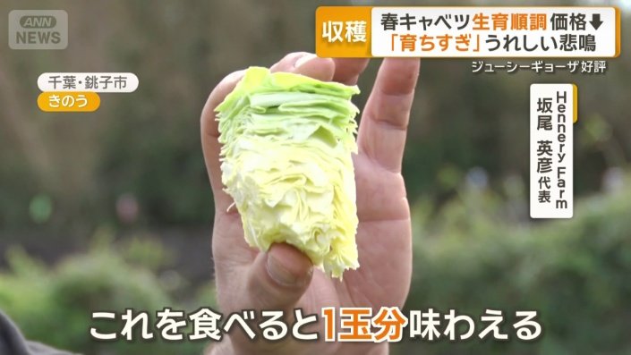 「白い芯の部分に甘さがある」