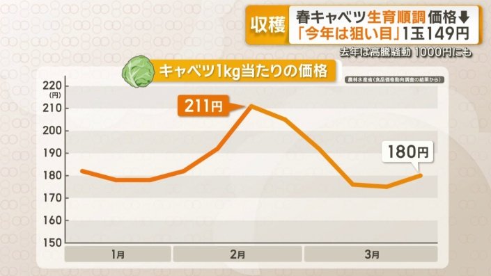 キャベツ1キロあたりの価格
