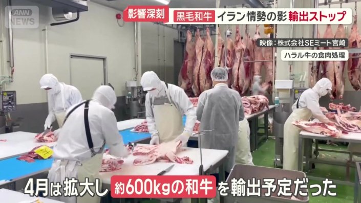 輸出がストップ