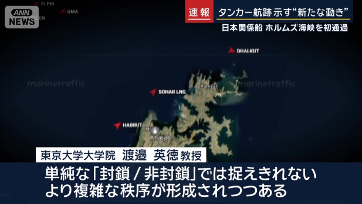 東京大学大学院・渡邉英徳教授