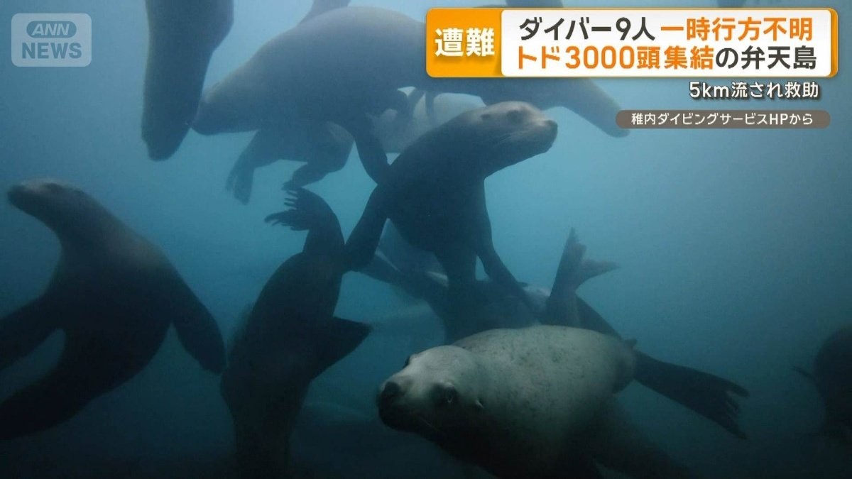 トドウォッチングのダイバー9人が一時行方不明　北海道・弁天島付近　5キロ先で救助