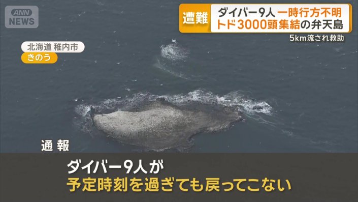 通報