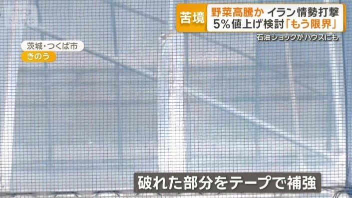 破れた部分をテープで補強