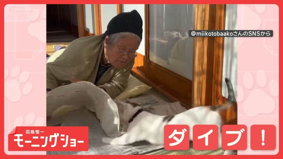 叱られても気にしニャイ　新聞にダイブするネコちゃん　頭から突っ込むのはなぜ？