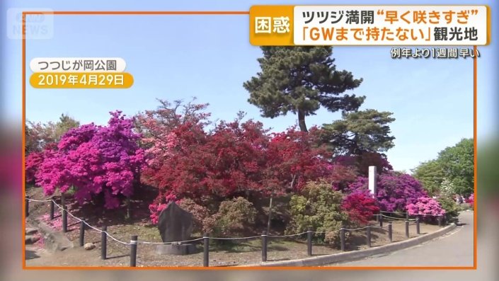 つつじが岡公園(2019年4月29日)