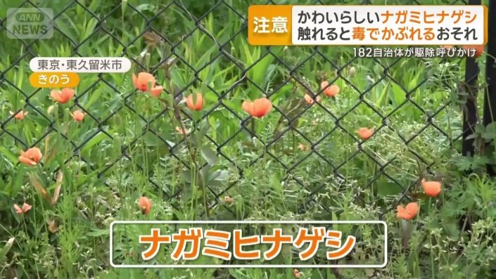 毒性を持つ