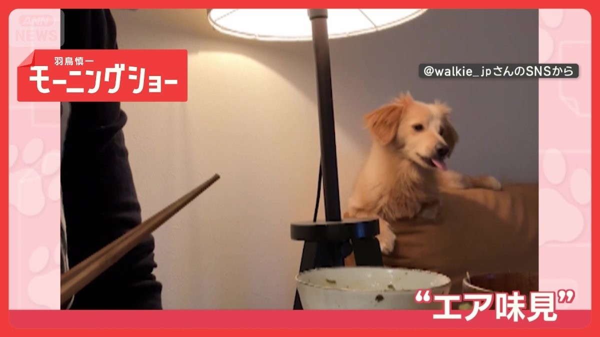 「モグモグしちゃうワン」飼い主が食べると一緒にモグモグ犬　“エア味見”してる？
