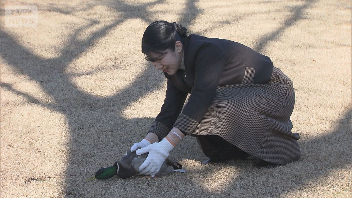 鴨場接待での愛子さま