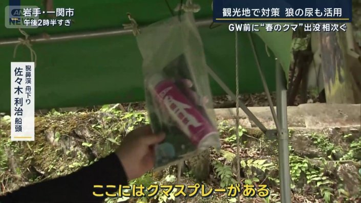 クマスプレー