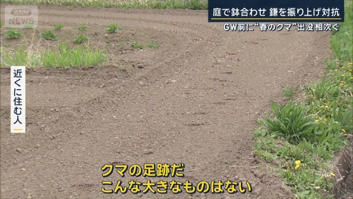 足跡