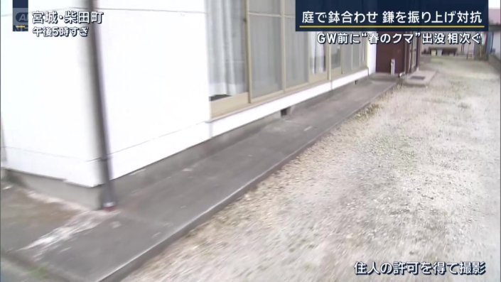 庭