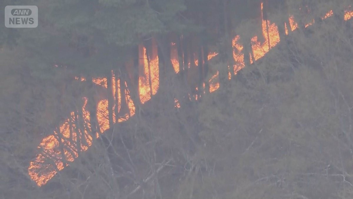 岩手山火事2600人避難指示　住宅のすぐ近くにまで…「津波も火事も」住民疲弊