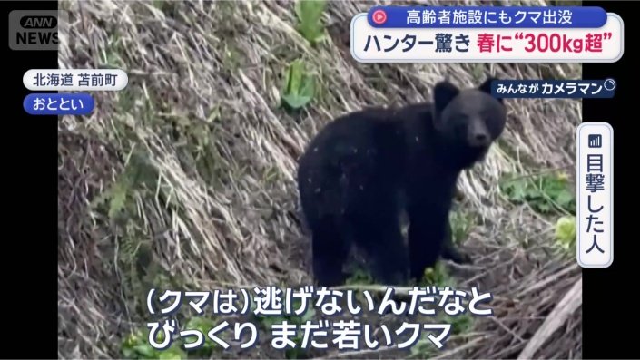 「まだ若いクマ」