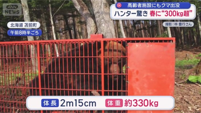 クマ様　確認ページ ハンター驚く“春に異例の300kg超クマ” 高齢者施設にもクマ“緊迫一部