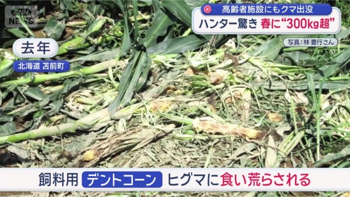 周辺では…