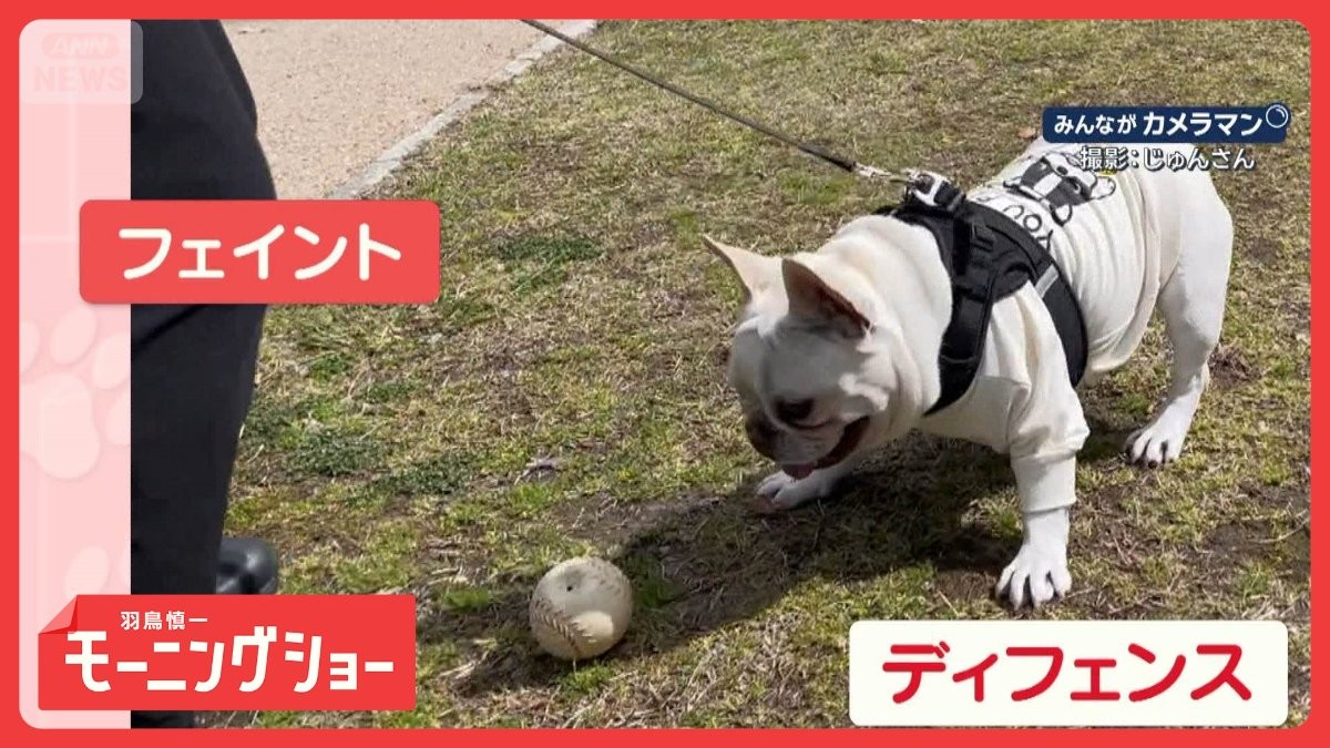 ボールは絶対とめる！ 左右ジャンプで徹底ガード 完璧にディフェンス