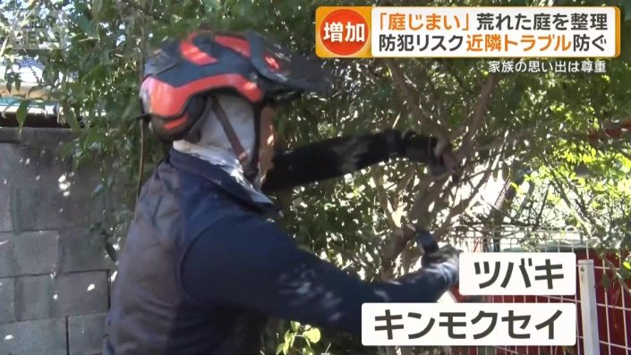 伸び放題になっていた