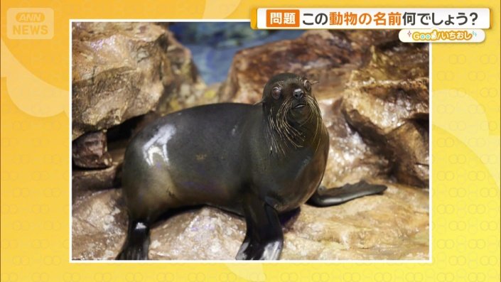 これは、何？
